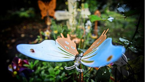 „Warum kommt das Baby nicht mit nach Hause, Mama?“